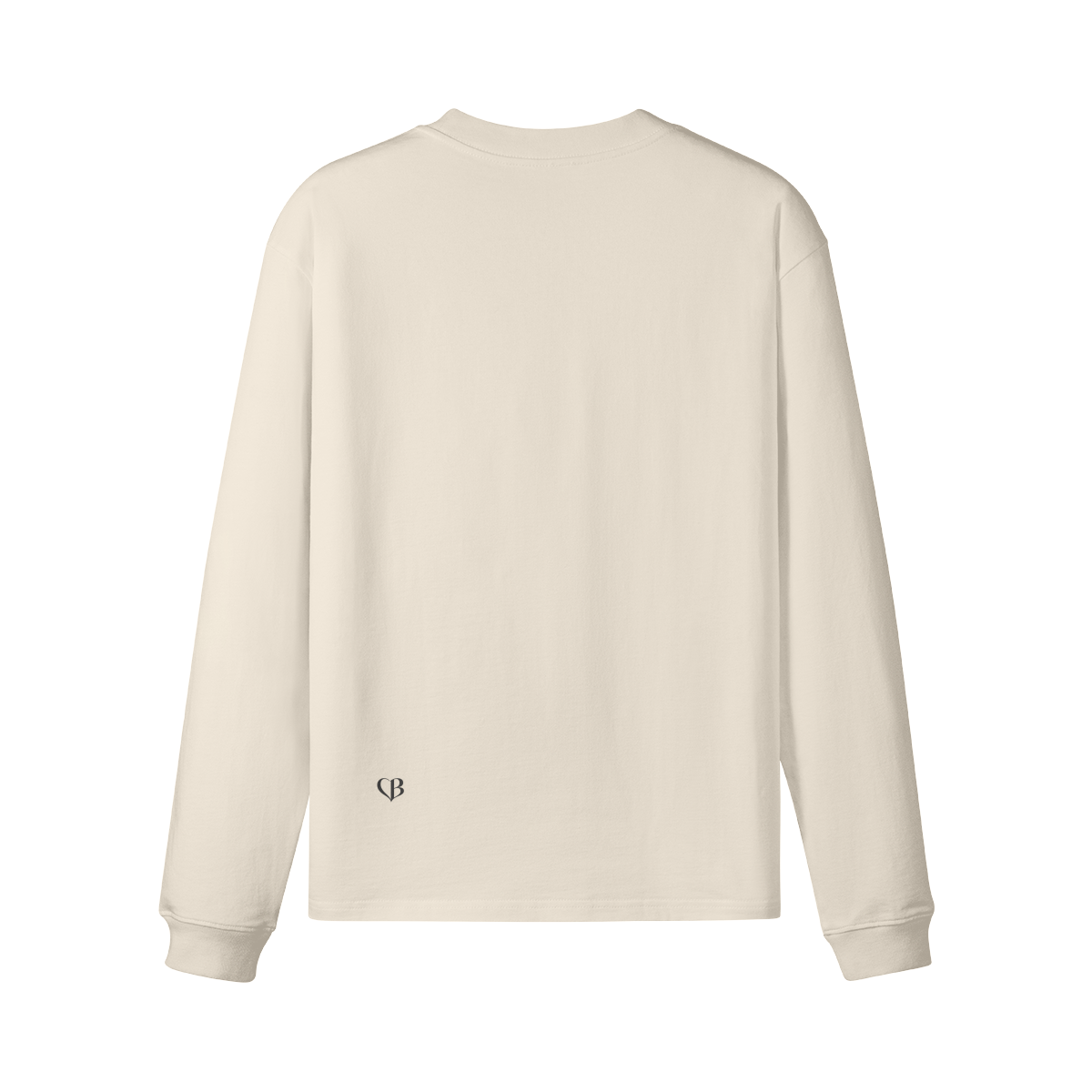 0-Y39-Back Side